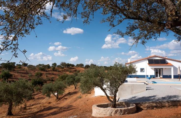 Monte Anna Bed & Breakfast Vila Verde de Ficalho Eksteriør bilde
